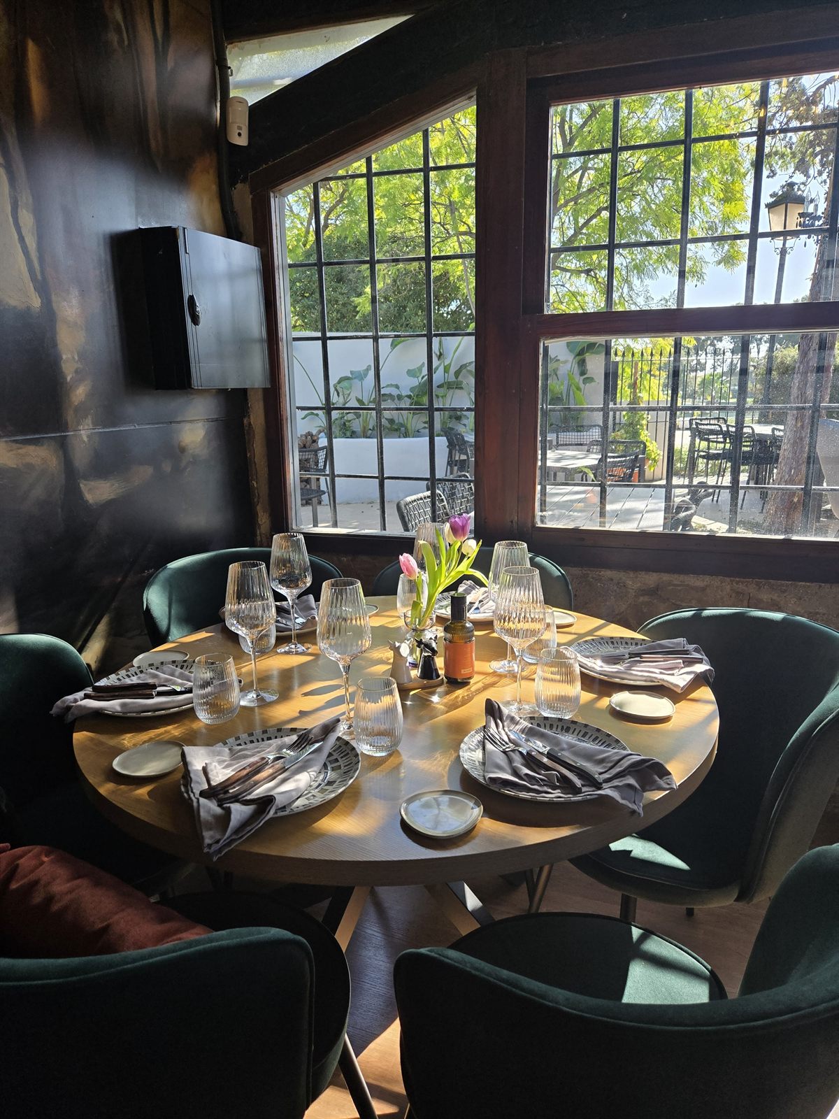 Sala de Morgan con terciopelo verde y árboles al fondo