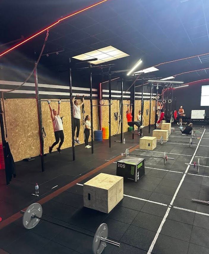 Box de crosstraining de Vulture con suelo de tatami y rig